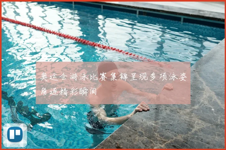 奥运会游泳比赛集锦呈现多项泳姿角逐精彩瞬间