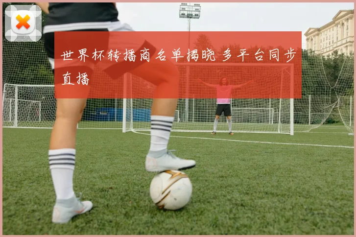 世界杯转播商名单揭晓 多平台同步直播
